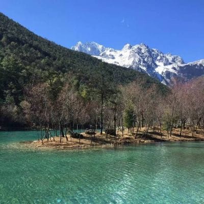 رحیم پردیسی avatar